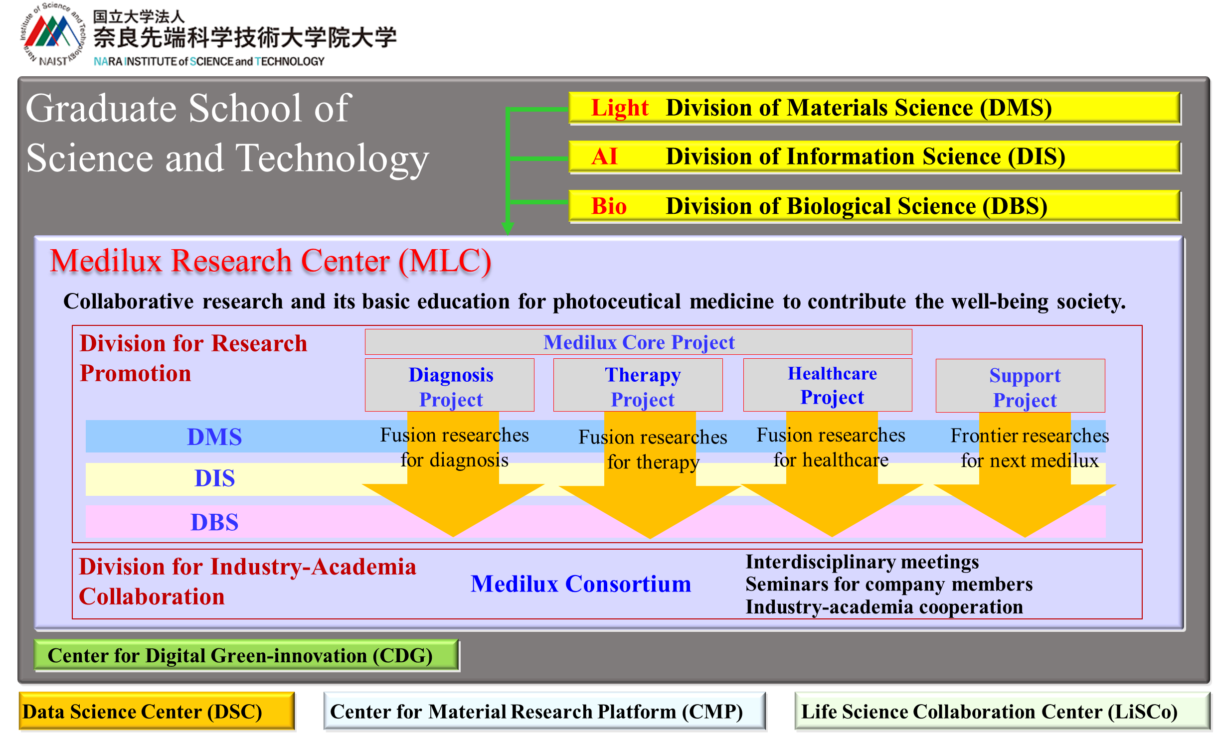 Medilux department